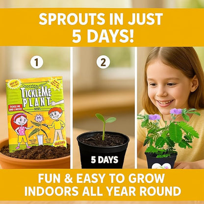 Happy Birthday Mom TickleMe Plant Gift Box Set to Grow A Touch-Sensitive Shy Plant That Closes Its Leaves When You Tickle Or Blow A Kiss | Fun Interactive Grow Kit with Seeds, Pot, Soil, Instructions