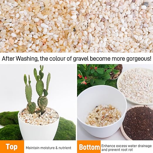 18lb Aquarium Gravel for Plants,1/5 Inch Natural Decorative River Rocks for Succulent and Cactus Landscaping, Natural Small Rocks for Fish Tanks, Vases & Terrariums