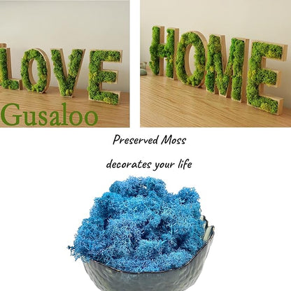 Moss Preserved Moss - Natural Fresh Green for Craft, Arts, Floral Projects, Wall & Table Decor, Wedding Centerpieces, Garden, Terrariums - Sky Blue, 3.5OZ