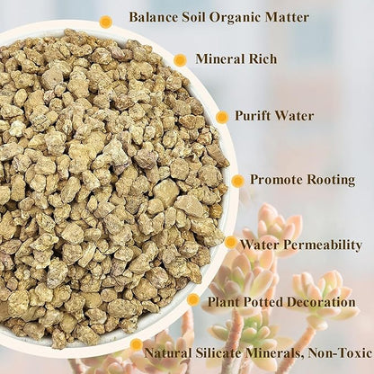 5 lbs Maifanitum Stones for Succulent,1/4 Inch Decorative Rocks for Indoor Plants, Bonsai, Soil Cover. Small Stones for Promote Soil Root Growth, Water Drainage and Plant Growth(5-8 mm)