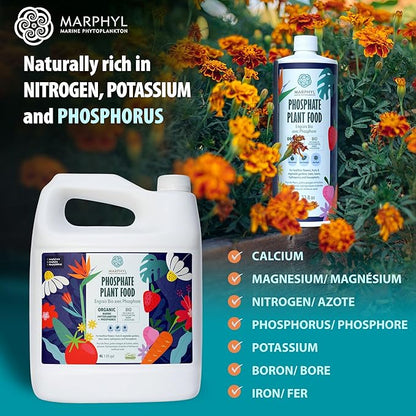MARPHYL Organic Liquid Phosphate Soil Enhancer. Phosphorus Fertilizer for Garden, Flowers, Vegetables, Succulents, Bamboo, Hydroponics 33.8 oz