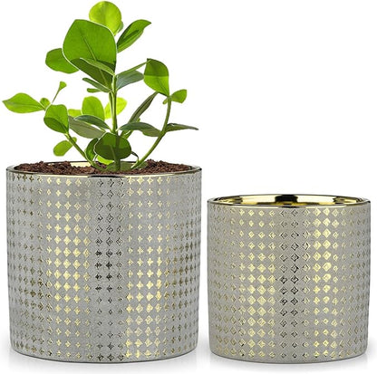 Grey Ceramic Plants Pot 5.3 + 6.4 Inch Gold Square Pots Set of 2 for for Indoor Outdoor Succulent Plants or Flowers Gold and Grey