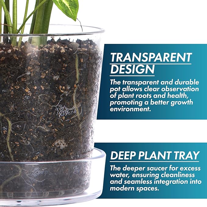 Phoenix Vine 12 Inch Clear Acrylic Planter Pot with Tray, Orchid Pot with Drainage Holes, Deep Saucer for Bottom Watering, Transparent Containers for Indoor Plants, Herbs, Set of 1, 91-A-I-1