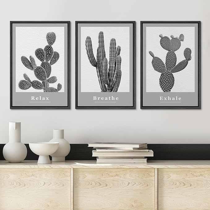 Ashbrook Framed Wall Art Print Set Black & White Grayscale Desert Succulents Nature Wilderness Photography Modern Art Boho Scenic Dramatic for Living Room, Bedroom, Office - 24"x36"x3 Black