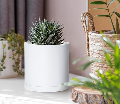 D'vine Dev 4 Pack 4 Inch Modern Plastic Plant Pots, Small Garden Planters for Plant with Drainage Holes and Saucers, White Color, 74-Z-E-2