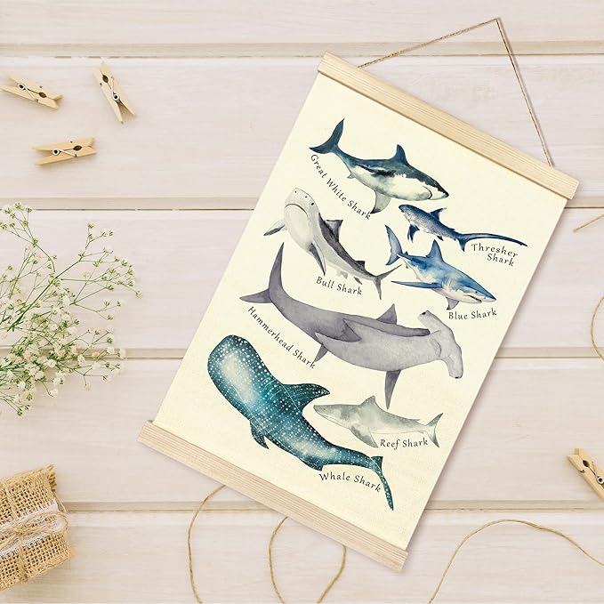 TAEDIN Watercolor Shark Ocean Animal Chart Poster Hanger Frame, Educational Shark Kid Bathroom Decor Wooden Canvas Artwork Print, Sea Life Wall Painting for Homeschool Classroom Library Dorm Decor 16X24