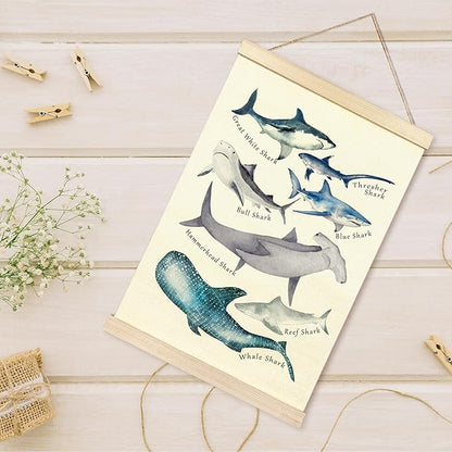 TAEDIN Watercolor Shark Ocean Animal Chart Poster Hanger Frame, Educational Shark Kid Bathroom Decor Wooden Canvas Artwork Print, Sea Life Wall Painting for Homeschool Classroom Library Dorm Decor 16X24