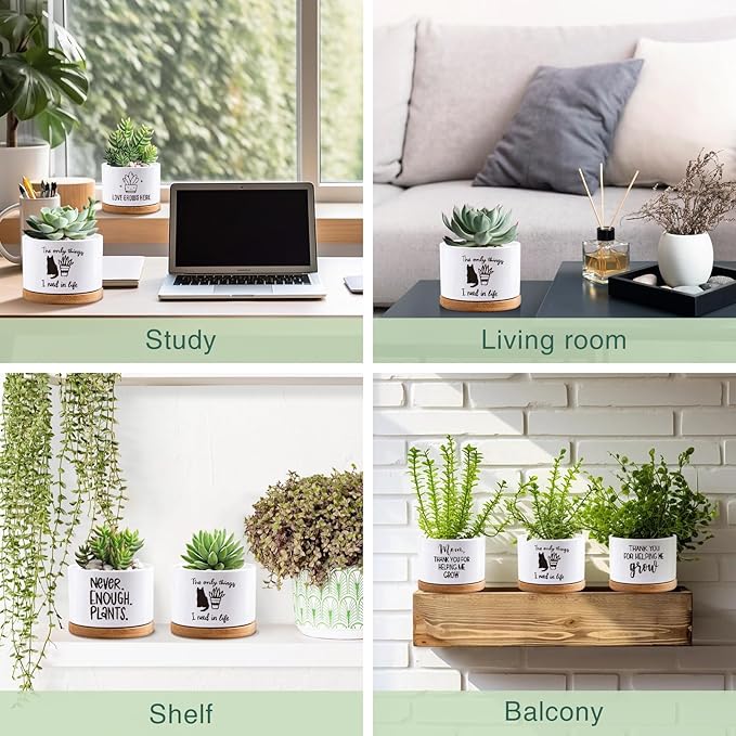 Succulent Cactus Flower White Ceramic Plant Pot with Drainage, Funny Plant Decorative Pots for Plants, Indoor Planter I Need in Life Small Succulent Pots, Not Plant