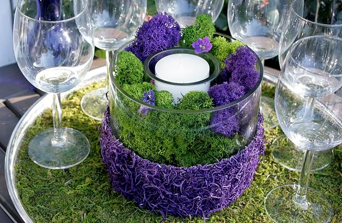 SuperMoss (21798) Reindeer Moss – Soft Preserved Moss for Home Decor, Crafts, Terrariums, Floral Design, and Wedding Decorations, 2,588 cu in, Purple