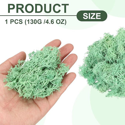 MECCANIXITY 4.6oz Preserved Reindeer Moss, Green Decorative Artificial Fake Moss for Potted Plants Indoor Crafts Lichen Centerpieces Decor