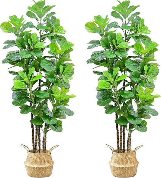 7ft Artificial Fiddle Leaf Fig Tree with Woven Seagrass Plant Basket, Fake Tree Indoor Faux Plant for Living Room Office Floor Home Decor (84 in-2Pack)