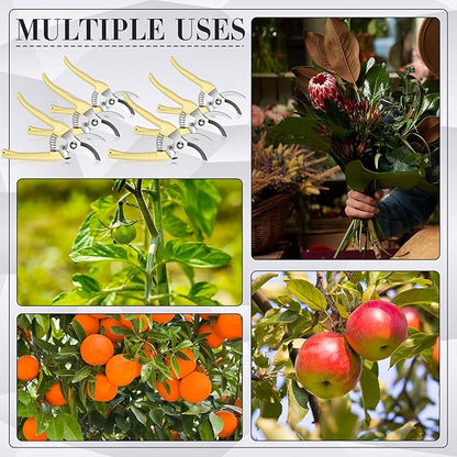 50 Pcs Garden Shears Garden Scissors Trimming Plant Clippers Flower Cutters for Stems Floral Snips Floral Tools Pruners for Flower for Yard Orchard Cutting Bushes Fruit Picking Tree Bonsai