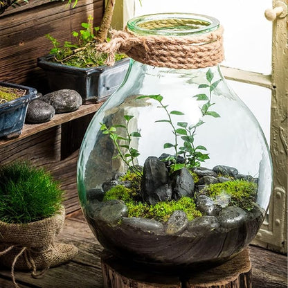 20 lbs Black River Rocks for Landscaping, 1-2 Inch Decorative Black Pebbles for Indoor Plants, Vase Fillers, Garden, Potted Plant Rocks, Paving, Fountain and Outdoor Decoration Black Stones