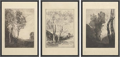 Ashbrook Framed Canvas Print Wall Art Set Fine Art Country Farmhouse Decor Landscapes Duotone Nature Wilderness Illustrations Floral Botanical Calm/Relax/Cozy for Bedroom - 16"x24"x3 BLACK