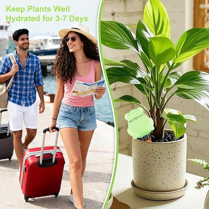 3Pcs Frog Plant Self Watering Globes for Indoor and Outdoor Plastic Water Bulbs Top Fill Plant Watering Globes Slow Release Terracotta Plant Watering Devices System for Plants, Green
