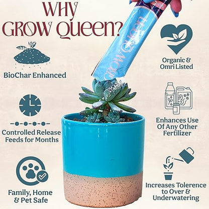 Complete Organic Cactus & Succulent Fertilizer, Succulent Plant Food & Cactus Food, Bonsai, Snake Plant Fertilizer, 11 Servings Fast & Slow Release Feeds up to 44 Plants 8 Months