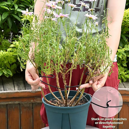 5PCS Monstera Plant Stem Support - 11 * 9.4 Inches, Durable Metal Stake Holder, Adjustable for Indoor Plant Leaf Support. Gentle Clips for Enhanced Stability for Plant Lovers!
