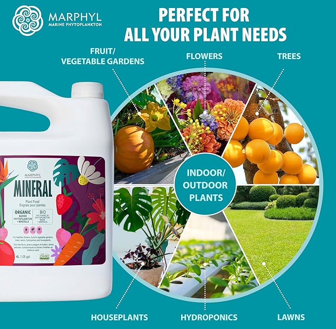 MARPHYL Organic Minerals Liquid Fertilizer, Rich Blend of Essential Minerals for Garden, Flowers, Vegetables, Succulents, Bamboo, Hydroponics 16.9 oz