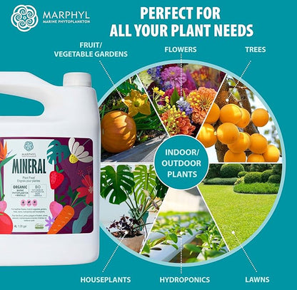 MARPHYL Organic Minerals Liquid Fertilizer, Rich Blend of Essential Minerals for Garden, Flowers, Vegetables, Succulents, Bamboo, Hydroponics 16.9 oz