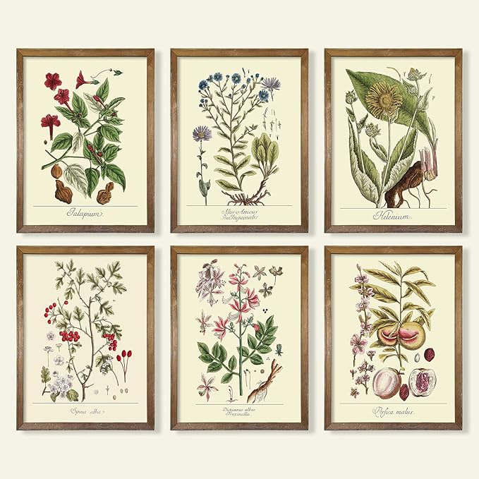 YUMKNOW Farmhouse Vintage Botanical Wall Decor - Unframed Set of 6, 8x10, Boho Cottagecore Plant Leaves Room Decor for Bathroom, Bedroom Art Posters Prints, Aesthetic Flower Pictures Office Kitchen