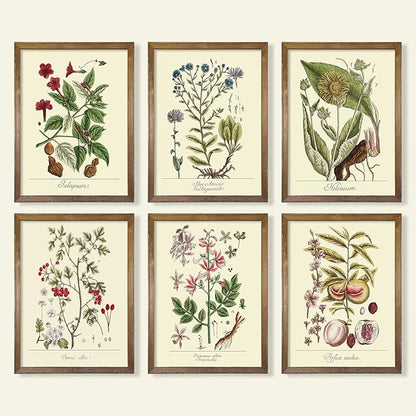 YUMKNOW Farmhouse Vintage Botanical Wall Decor - Unframed Set of 6, 8x10, Boho Cottagecore Plant Leaves Room Decor for Bathroom, Bedroom Art Posters Prints, Aesthetic Flower Pictures Office Kitchen