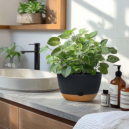 8 Inch Pots for Indoor Plants, Self Watering Planters with Drainage and Saucers, Plastic Outdoor Flower Pot, Set of 2, Grey