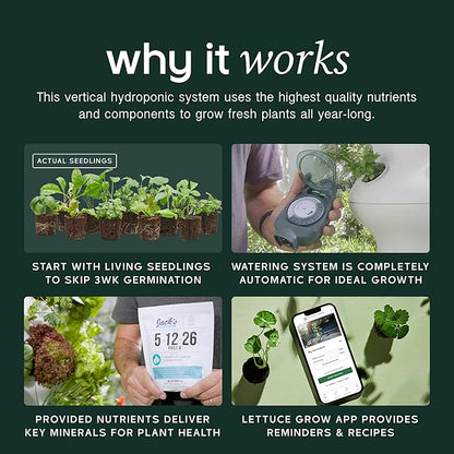 Farmstand Starter Kit with Glow Rings and 12 Seedling Credits | Tiny Hydroponic Growing System Kit | Vertical Garden Planter Tower | 3ft 8in Tall