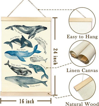 TAEDIN Whales Ocean Animal Chart Poster Hanger Frame, Whales Nautical Wall decor Educational Wooden Canvas Print, Sea Life Beach Wall Decor Painting for Classroom Nursery Bedroom Teen Room 16X24