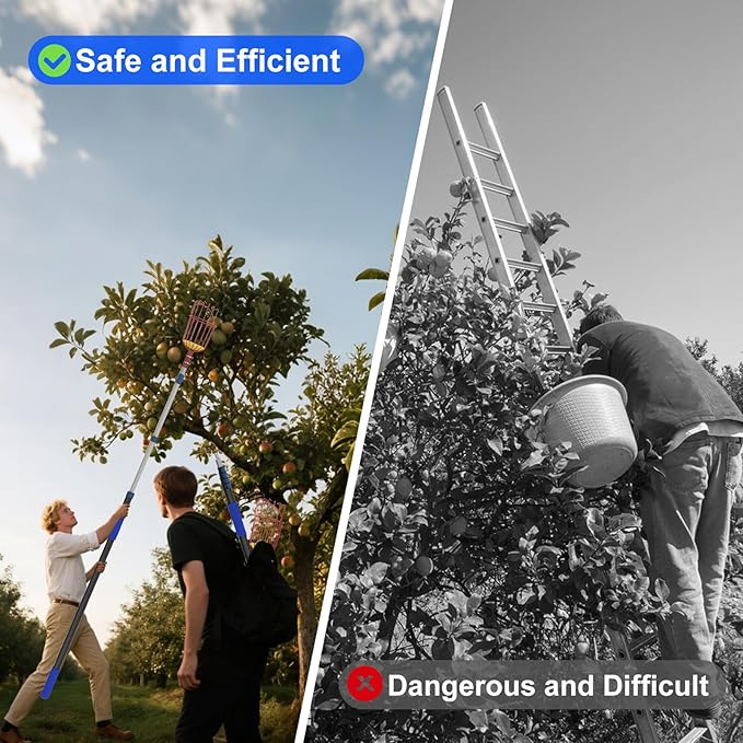 26FT Reach Fruit Picker Pole with Basket Telescoping, 5-20FT Extendable Aluminum Apple Picker for Picking Avocados, Figs, Mangoes, Citrus Fruits - Durable Harvesting Fruit Catcher for Trees