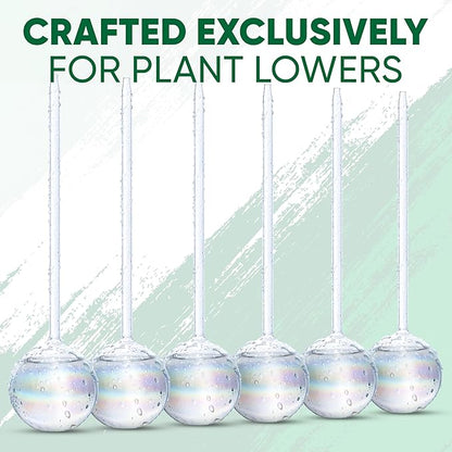 Clear Plant Watering Globes Set of 6 - Large Self Watering Globes for Indoor & Outdoor Plants - Automatic, Glass Watering Bulbs for Daily Use, Plant Watering Devices