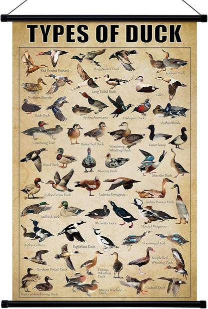 Geyee Duck Vintage Poster Wall decor Mallard Ducks Hunting Art Knowledge Picture Prints Wall Decor for Home Kitchen Office Classroom Living Room Bedroom Frame, 15.8 x 23.6 Inch(Duck)