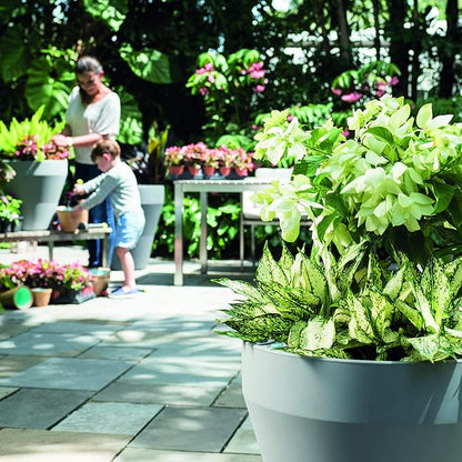 Crescent Garden Rim TruDrop Planter, Self-Watering Plant Pot, 18-Inch (Old Bronze)