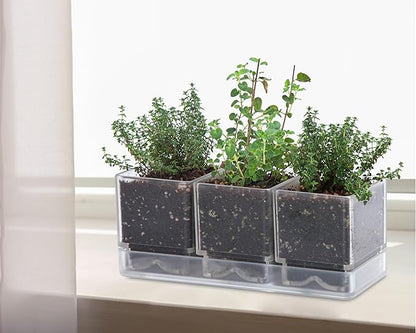 D'vine Dev Herb Garden Planter Set, Plastic Plant Pots with Drainage and Saucer, Indoor Succulent Cactus Vegetable Pot for Windowsill, Garden Balcony, Clear, Set of 2, 76-V-D-2