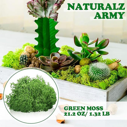 Jadive 21.2 oz Moss Preserved 1.32 Lbs Green Preserved Reindeer Moss Bulk Artificial Decorative DIY Kit for Craft Wall Decor Fairy Gardens Terrariums Art Project Table Floral Decor