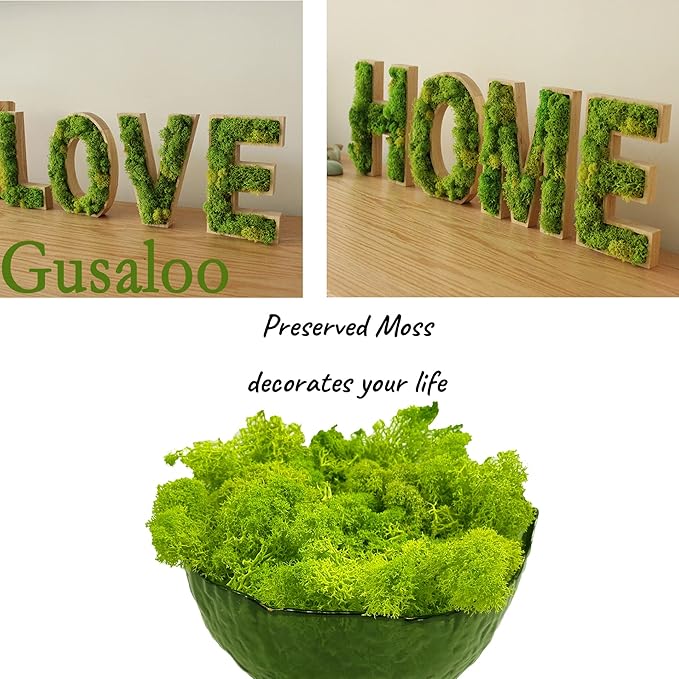 Moss Preserved Artificial Moss for Potted Plants Natural Fresh Green Moss for Crafts Arts Floral Project Wall Decor fake Moss Wedding Centerpieces Garden Terrariums Decoration Light-Yellow Green 3.5OZ