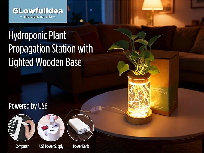 Plant Propagation Station with Light, Glass Planter Station with Waterproof Lighted Wooden Base, Desktop Hydroponic Plants Terrarium, Cylindrical Glass Planter for Home Decor & Office Decor