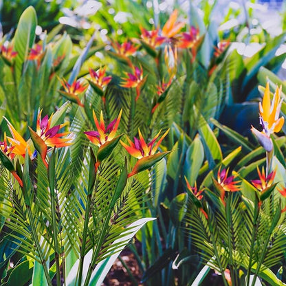 8 PCS Bird of Paradise Artificial Plant Combo Palm Leaves,4 Faux Bird of Paradise Plant with 4 Artificial Palm Leaves for Wedding Garden Office Home Indoor and Outdoor Decor(Orange)