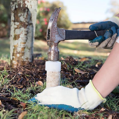 Jobe’s Slow Release Evergreen Fertilizer Spikes, Easy Plant Care for Cypress, Arborvitae, Pine, Cedar, and Many More Acid Loving Trees, 15 Count