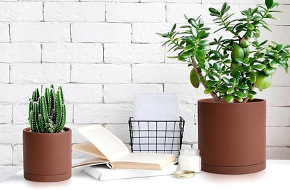 D'vine Dev 6 Inch Rust Terracotta Plant Pot with Drainage Hole and Saucer, Round Cylinder Planter Pot for Indoor Plants, 40-V-C-3