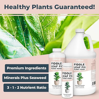 Fiddle Leaf Fig Plant Food for All Fig and Other Ficus Trees, Liquid Houseplant Fertilizer 8 oz (250mL)