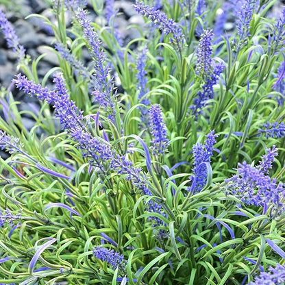 alyptus UV Resistant Artificial Plants Outdoors 16 Bundles
