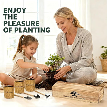 Bonsai Tree Starter Kit for Beginners - Indoor Live Plant Gardening Adult Craft DIY Kits - Unique Christmas, Birthday, White Elephant Gifts for Women, Men & Kids