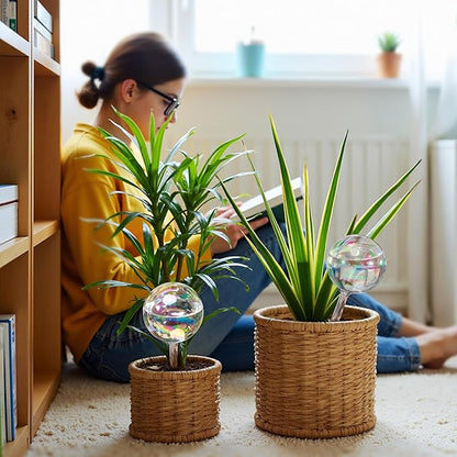 Large Extra-Thick Clear Glass Plant Watering Globes, Rainbow Gradient Self Watering Devices for Indoor & Outdoor Plants, AutomaticWaterer Spikes, Perfect for Daily or Vacation Use, 2-Pack