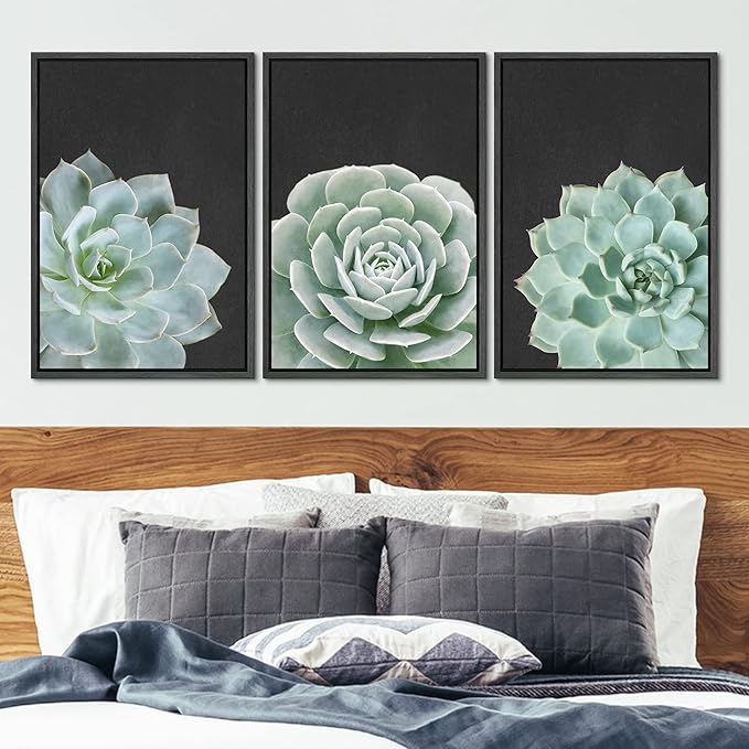 Ashbrook Framed Canvas Print Wall Art Set Green Desert Rose Cactus Succulents Nature Wilderness Photography Modern Art Minimal Chic Colorful for Living Room, Bedroom, Office - 24"x36"x3 Black