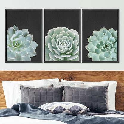 Ashbrook Framed Canvas Print Wall Art Set Green Desert Rose Cactus Succulents Nature Wilderness Photography Modern Art Minimal Chic Colorful for Living Room, Bedroom, Office - 24"x36"x3 Black