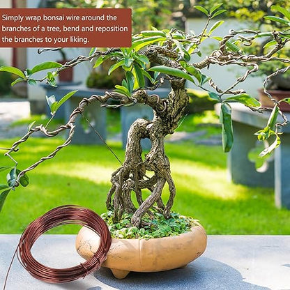 BESPORTBLE Bonsai Wire Kit Copper Color DIY Plant Training Wire for Tree Shaping and Climbing for Garden Bonsai and Indoor Plant Styling