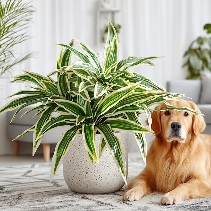 4 Pcs Artificial Greenery Stems Dracaena Faux Branches Artificial Plants Realistic Fake Dracaena Greenery Realistic Plants for Indoor Outdoor Porch Patio Home Office Living Room Decor (Yellow)