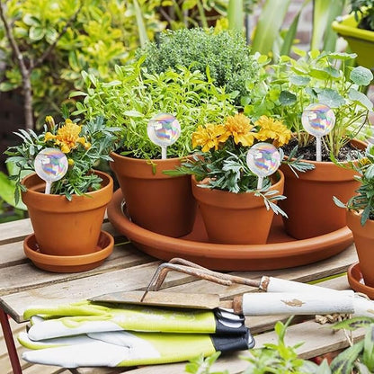 Plant Watering Globes, Iridescent Rainbow Glass Water Bulbs Self Watering Spikes Planter Insert Automatic Plant Watering Device for Indoor and Outdoor Plants (4Pcs, Ball Shaped)
