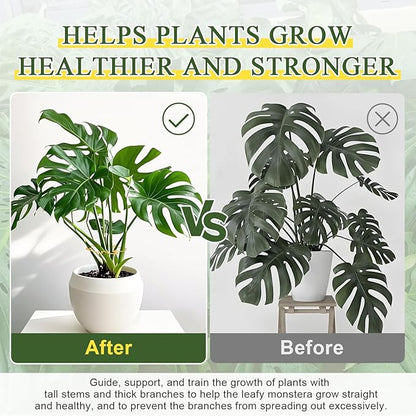5PCS Monstera Plant Support, Metal Plant Supports Plant Stem Holder Durable Sturdy Plant Stabilizer for Indoor Plants Climbing Plants Outdoor Moss Pole Thriving Growth (Gold)