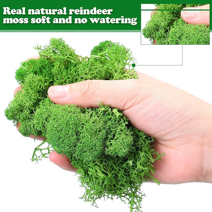 Jadive 21.2 oz Moss Preserved 1.32 Lbs Green Preserved Reindeer Moss Bulk Artificial Decorative DIY Kit for Craft Wall Decor Fairy Gardens Terrariums Art Project Table Floral Decor
